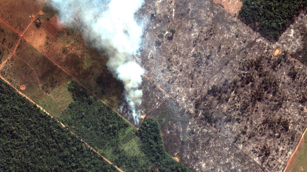 Foto: Imagen satelital de un incendio en la selva brasileña del Amazonas. Reuters
