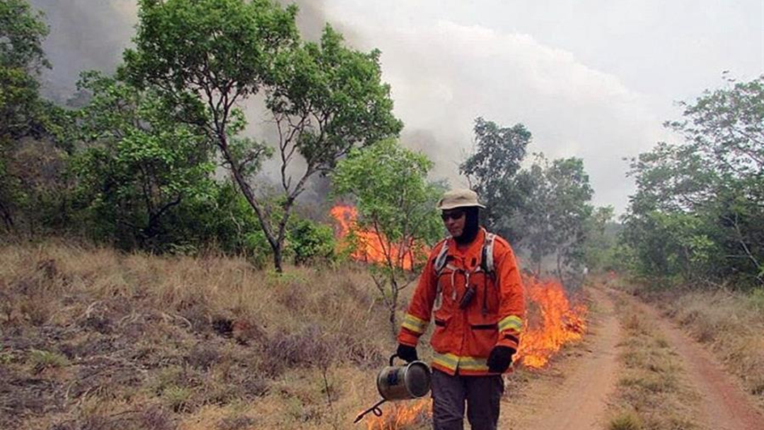 Foto: Según datos oficiales, Brasil registró entre enero y agosto de este año 71.497 focos de incendio, de los cuales poco más de la mitad se han producido en la Amazonía, 24 de agosto de 2019 (EFE)