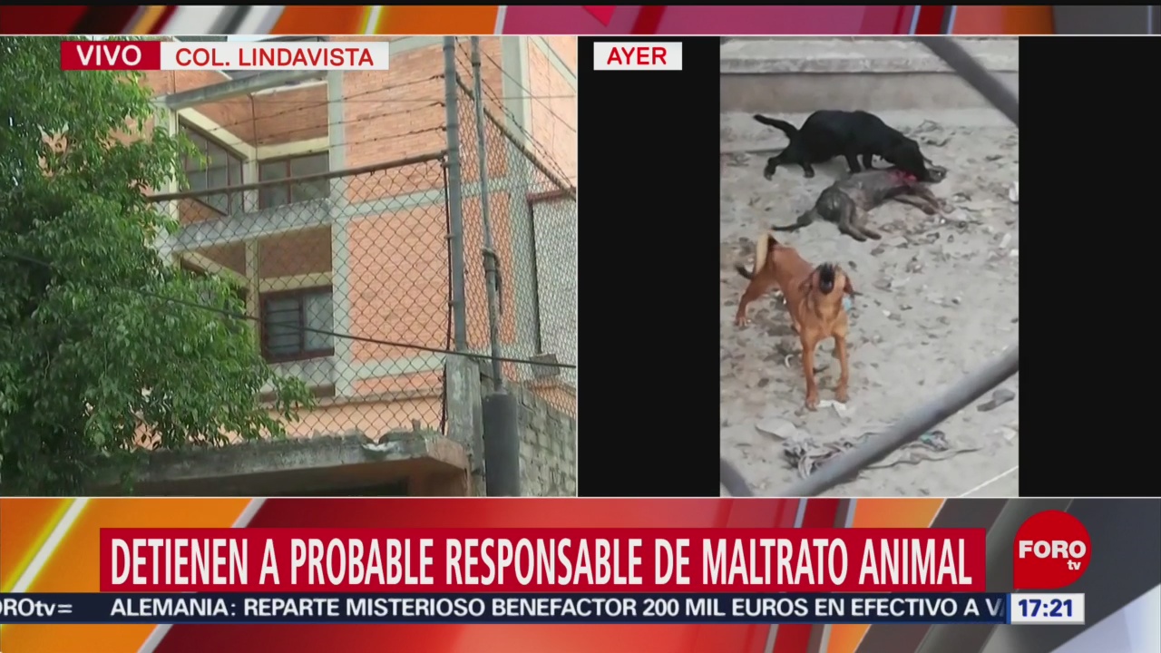 Hay un detenido por maltrato animal en Lindavista, CDMX