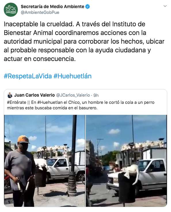 Hombre corta la cola a un perro que buscaba comida en un bote de basura en Puebla