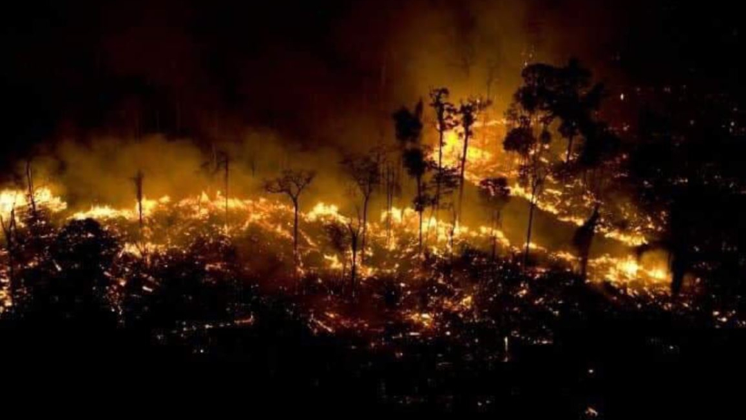 Foto: Usuarios de Twitter critican a los medios de comunicación por prestar muy poca atención al incendio en el Amazonas, 21 agosto 2019
