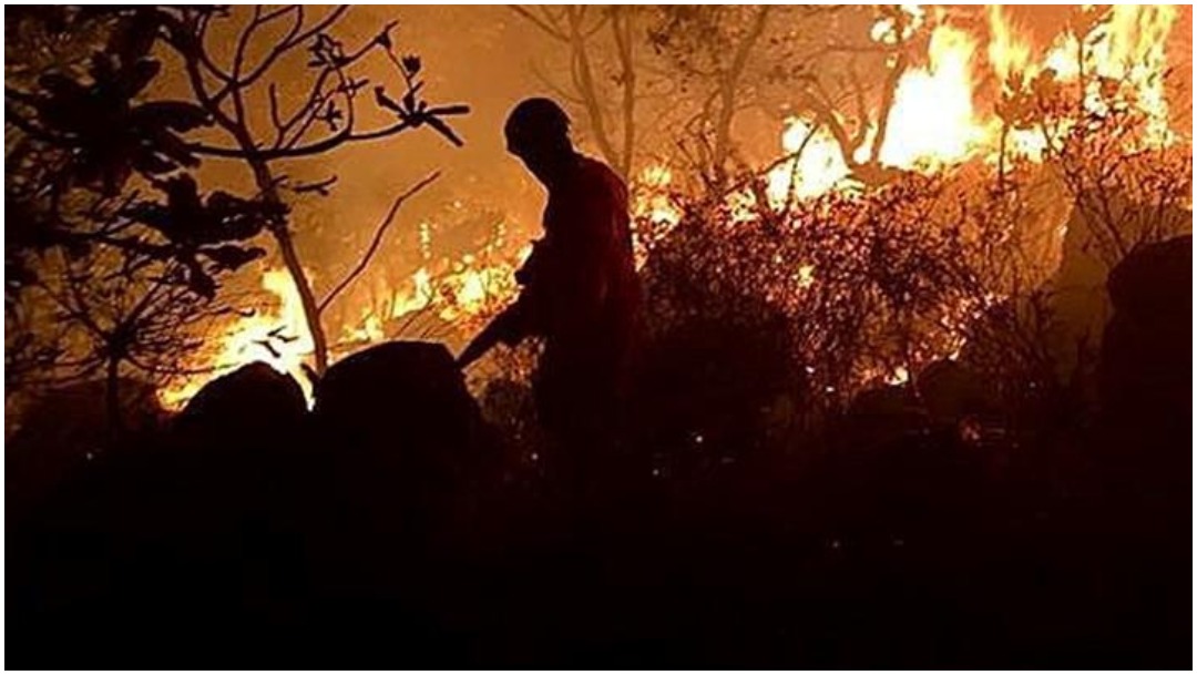 Foto: El incendio en la zona del Amazonas sigue fuera de control, 24 de agosto de 2019 (EFE)