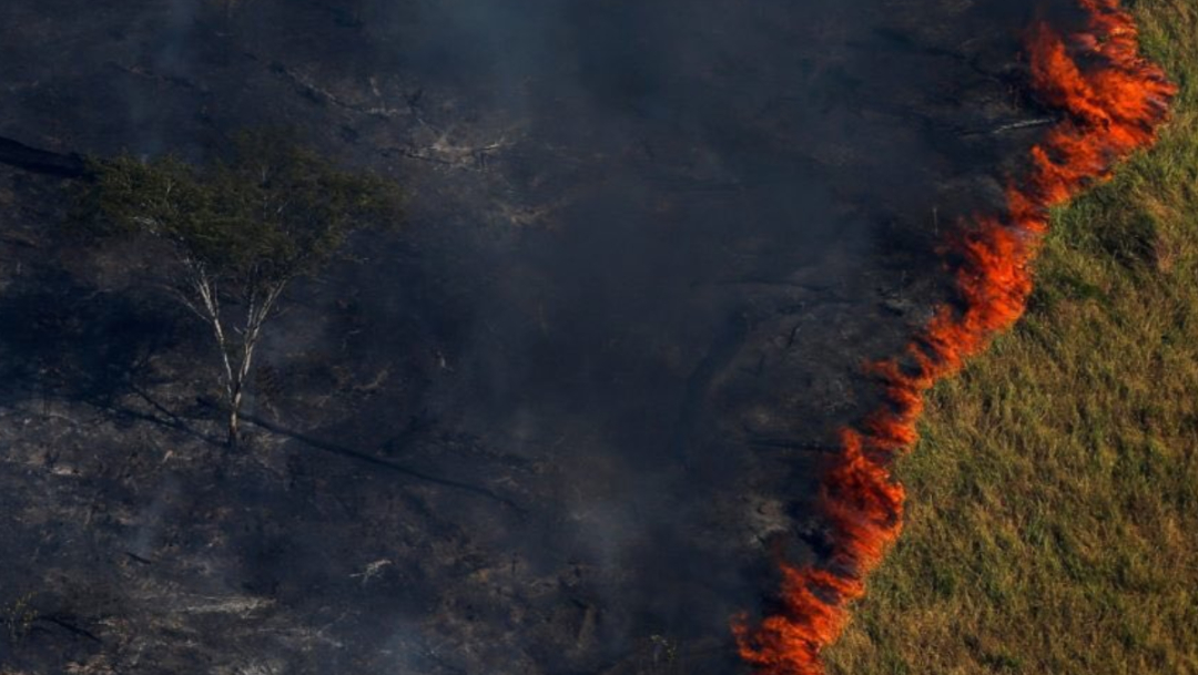 FOTO Amazonia concentra más de la mitad de incendios en Brasil (Twitter)