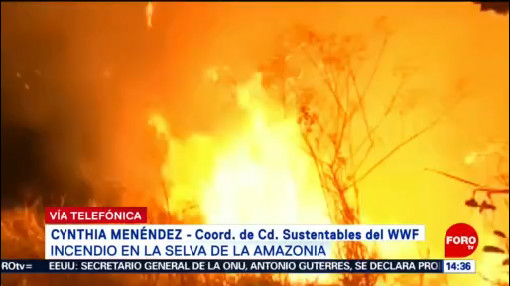 Foto: Incendio Amazonía Agudizará Sequías Cynthia Menéndez 22 Agosto 2019