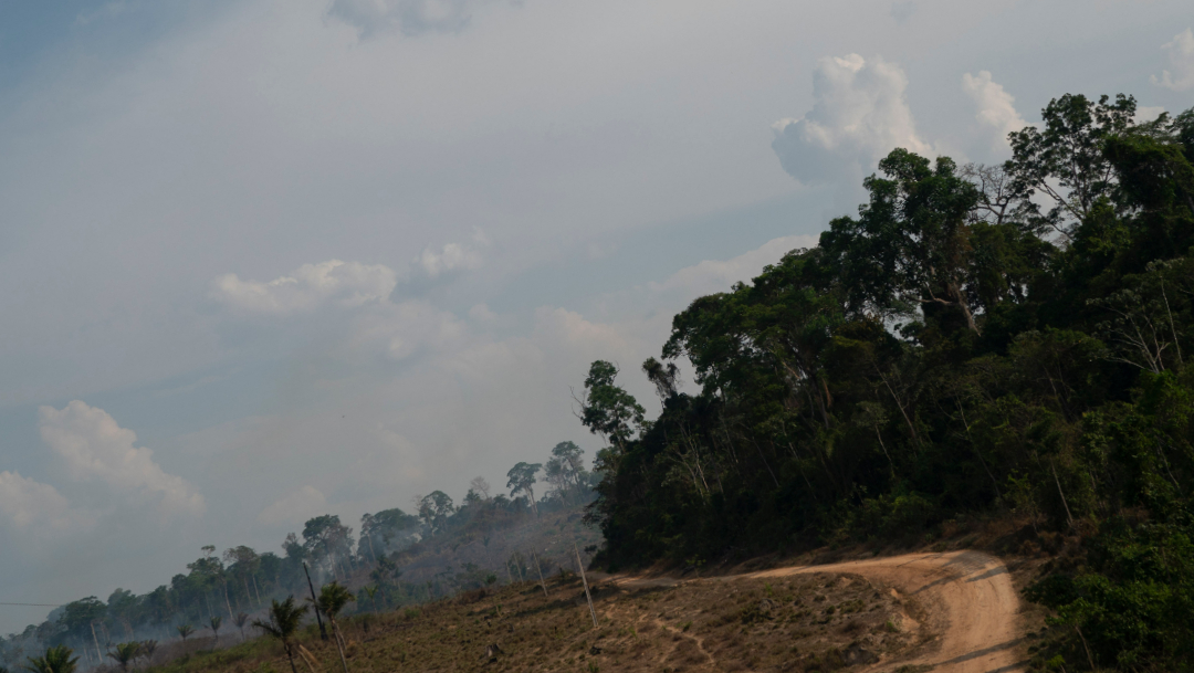 FOTO G7 moviliza 20 mdd para combatir incendio en Amazonía (AP)