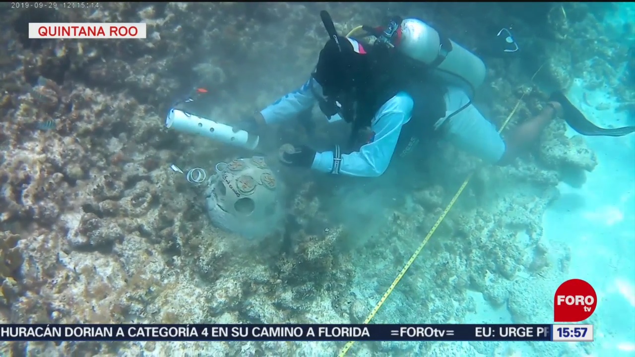 FOTO:Inician siembra masiva de 11 especies de coral en Quintana Roo, 31 Agosto 2019