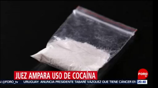 Foto: Juez Otorga Amparos Uso Cocaína 20 Agosto 2019