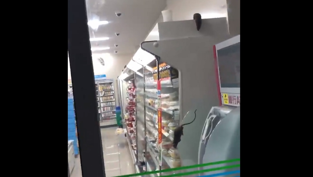 Cierran tienda tras hacerse viral video con ratas entre la comida
