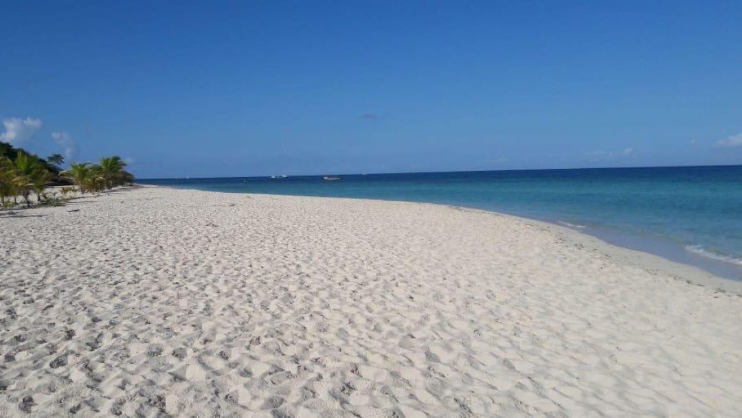 Foto Semar elimina sargazo en Cancún, Puerto Morelos e Isla Mujeres 1 agosto 2019