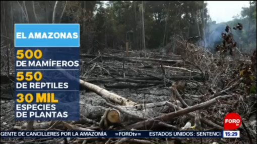 FOTO: Siguen incendios en Amazonas, considerado ‘pulmón del mundo’, 25 Agosto 2019