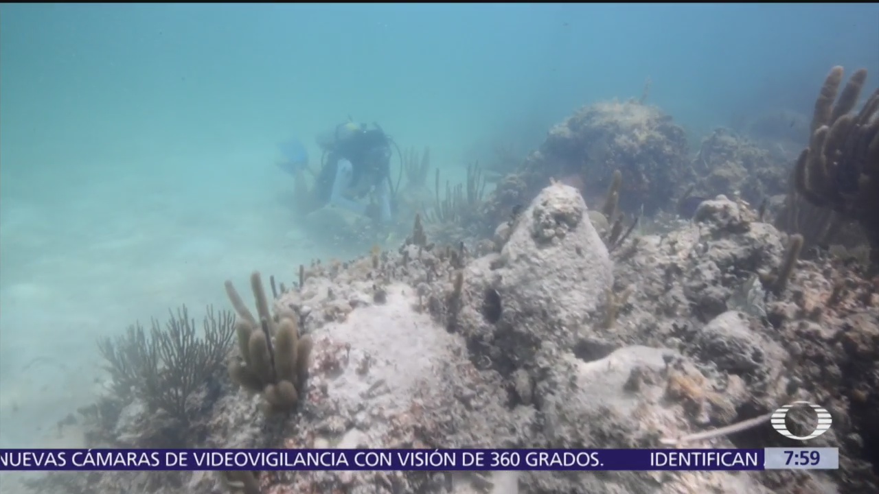 Sistema de arrecifes de México está enfermo