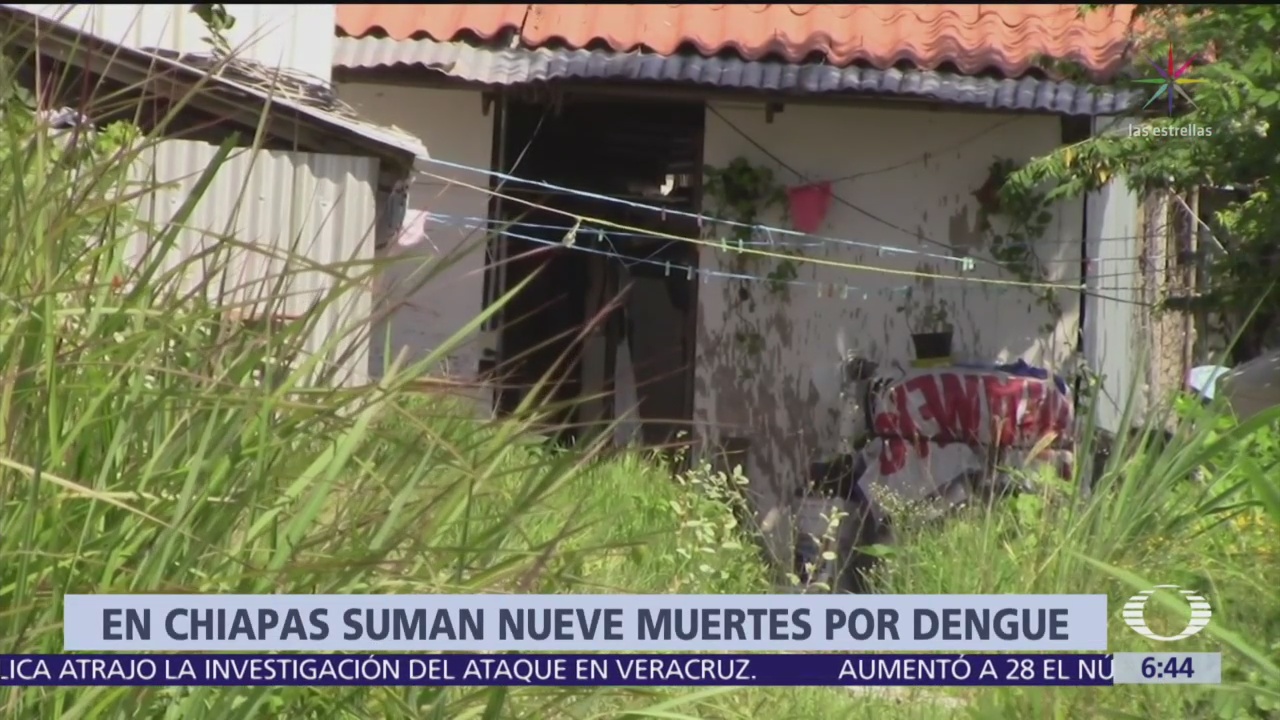 Suman nueve muertos por dengue en Chiapas