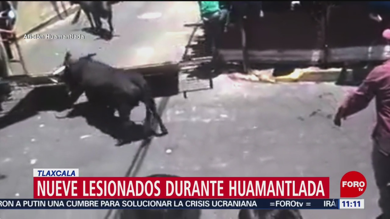 Toros embisten a dos hombres durante fiesta en Huamantla, Tlaxcala