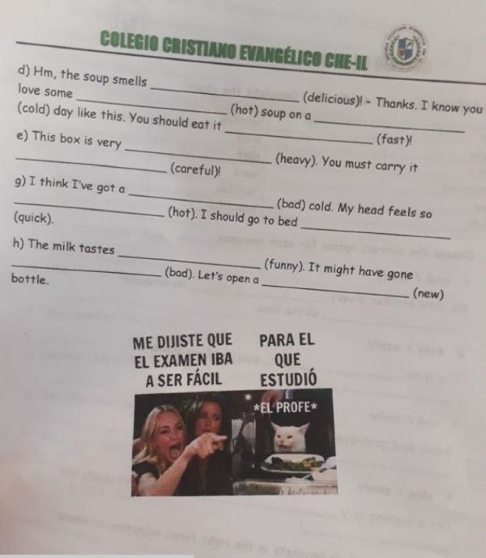 Foto:maestra-meme-gato-examen-argentina. 3 septiembre 2019