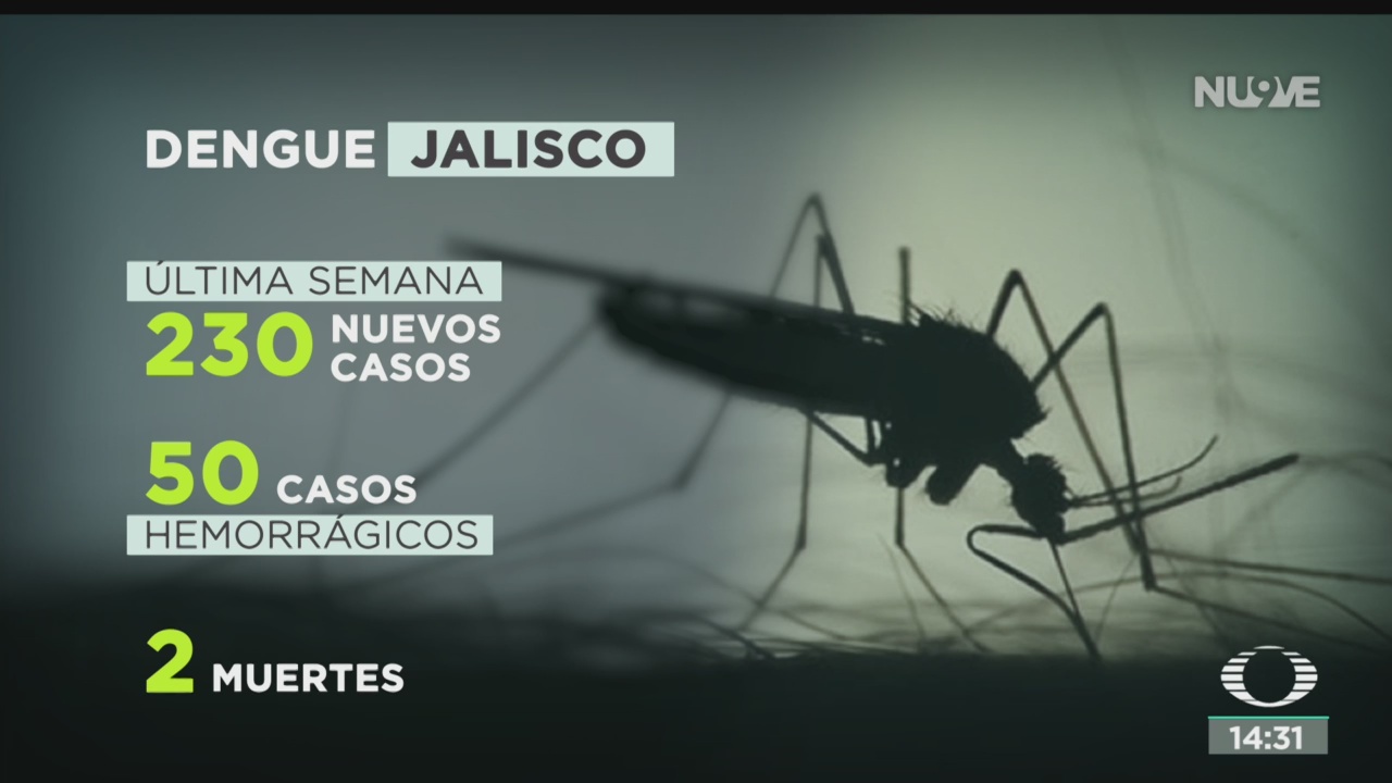 FOTO: Alertan Por Venta Vacunas Falsas Contra Dengue Sarampión
