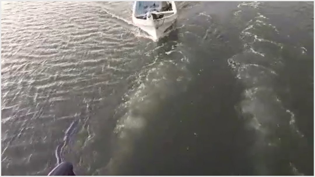 Captan en video robo a turistas durante paseo en barco en Tabasco
