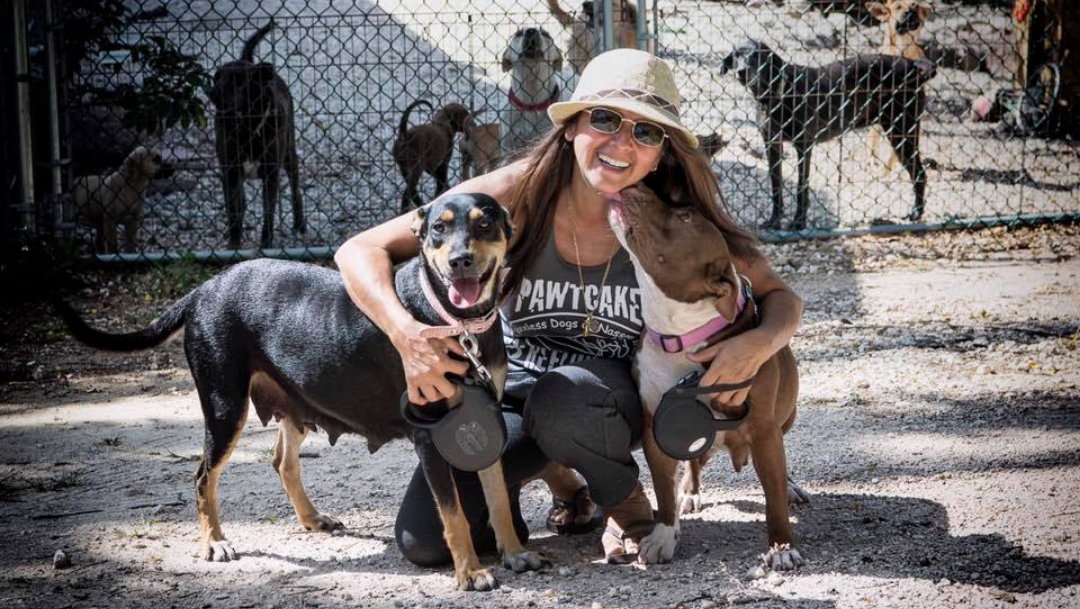 Mujer protege a 97 perros callejeros del huracán Dorian