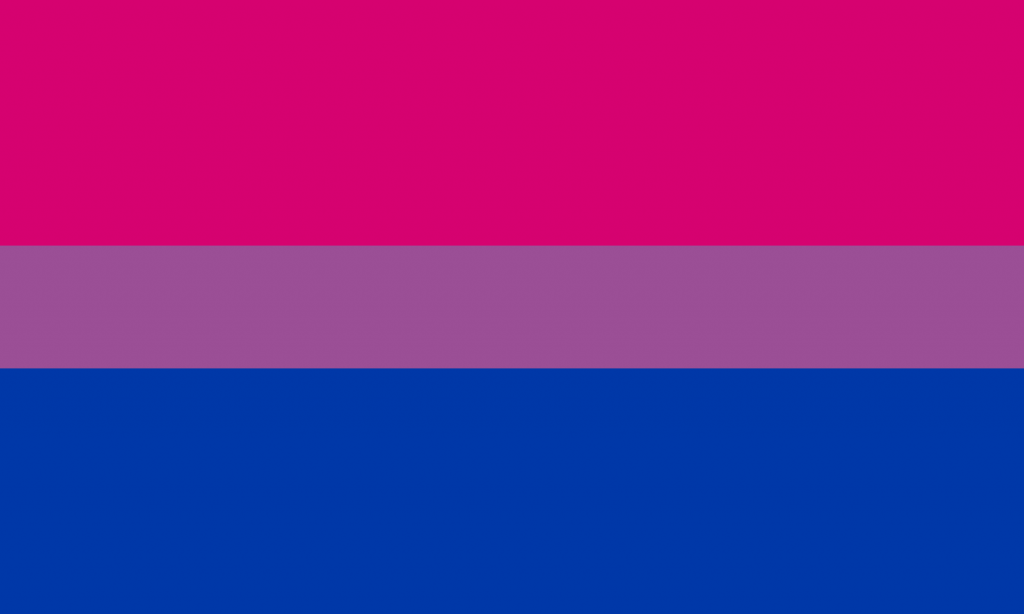 Foto:Colores de la bandera bisexual. 23 septiembre 2019