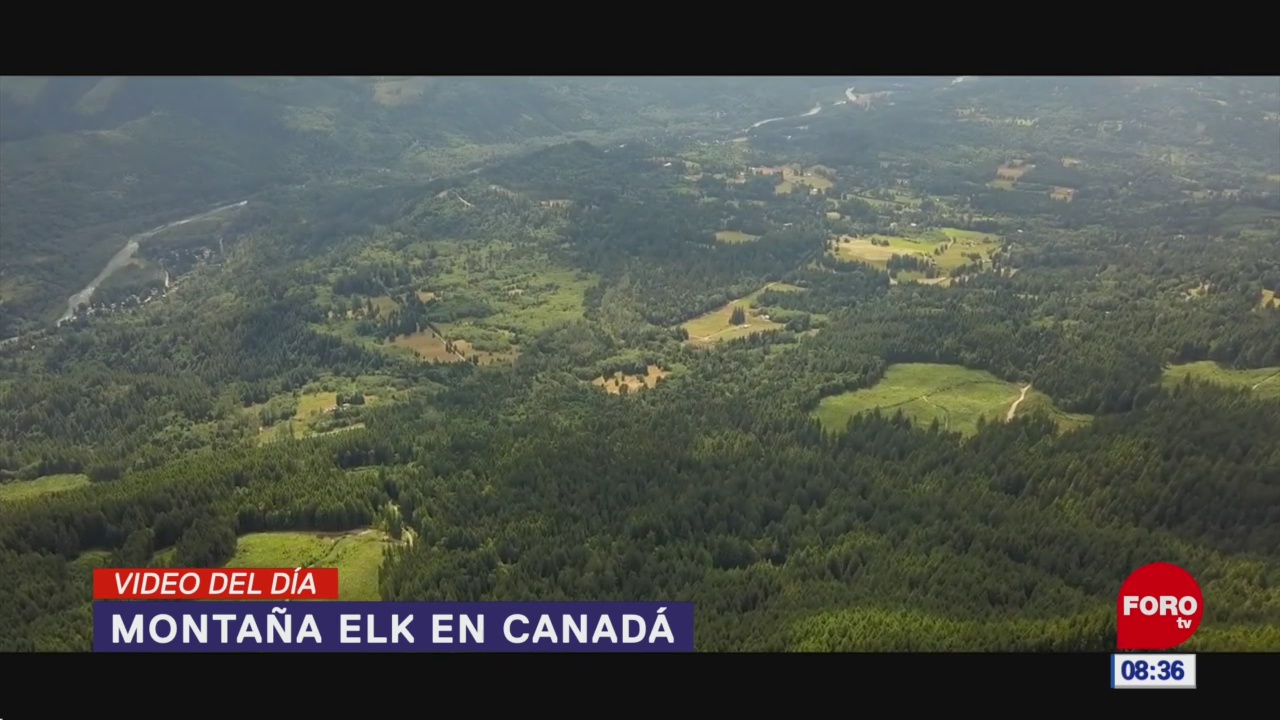 #ElVideodelDía: Montaña Elk, en Canadá