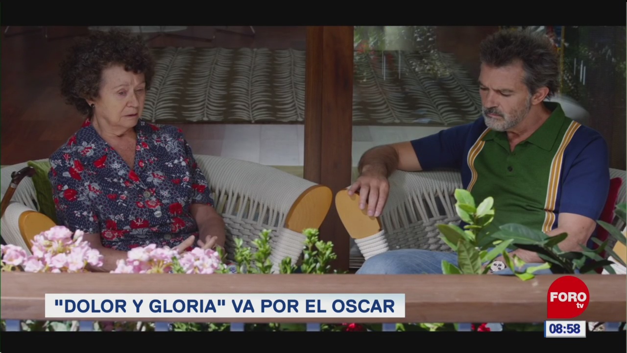 #EspectáculosenExpreso: "Dolor y gloria" va por el Oscar