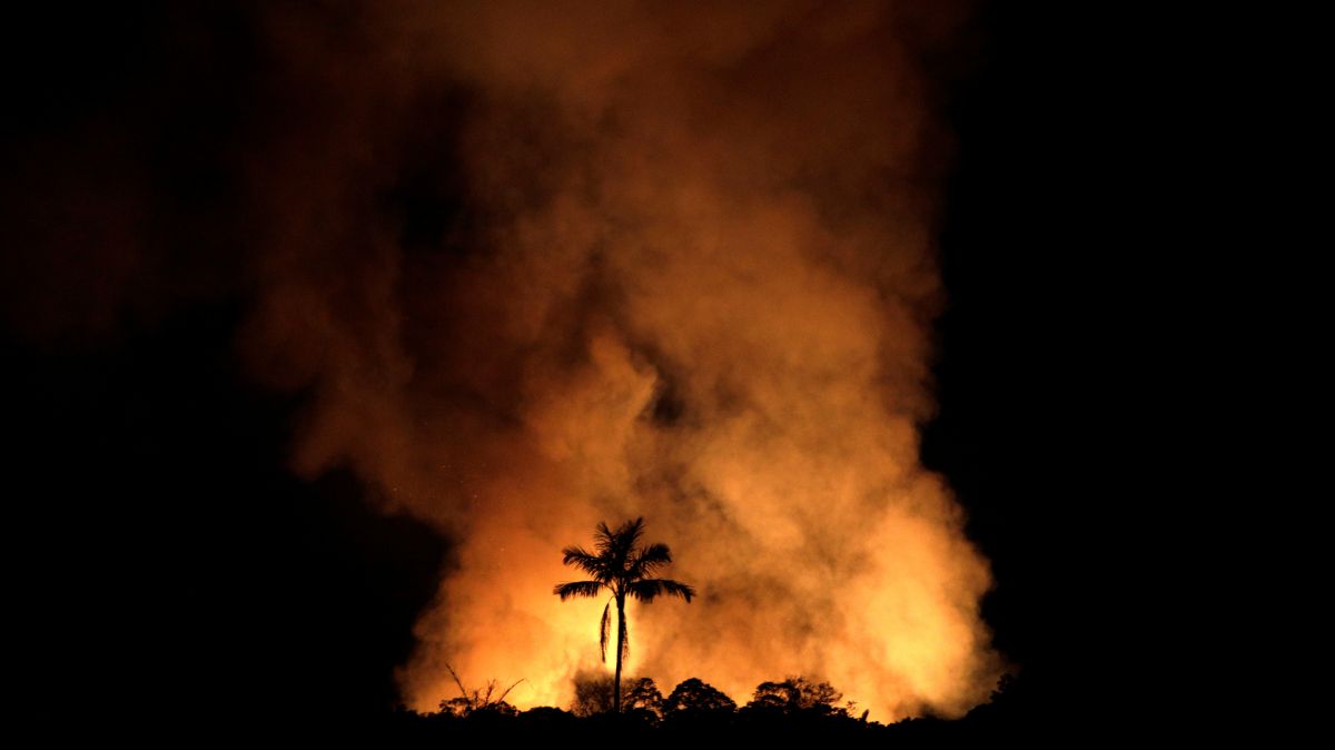 Foto: Un incendio quema un tramo de la selva amazónica brasileña cerca de Porto Velho. Reuters