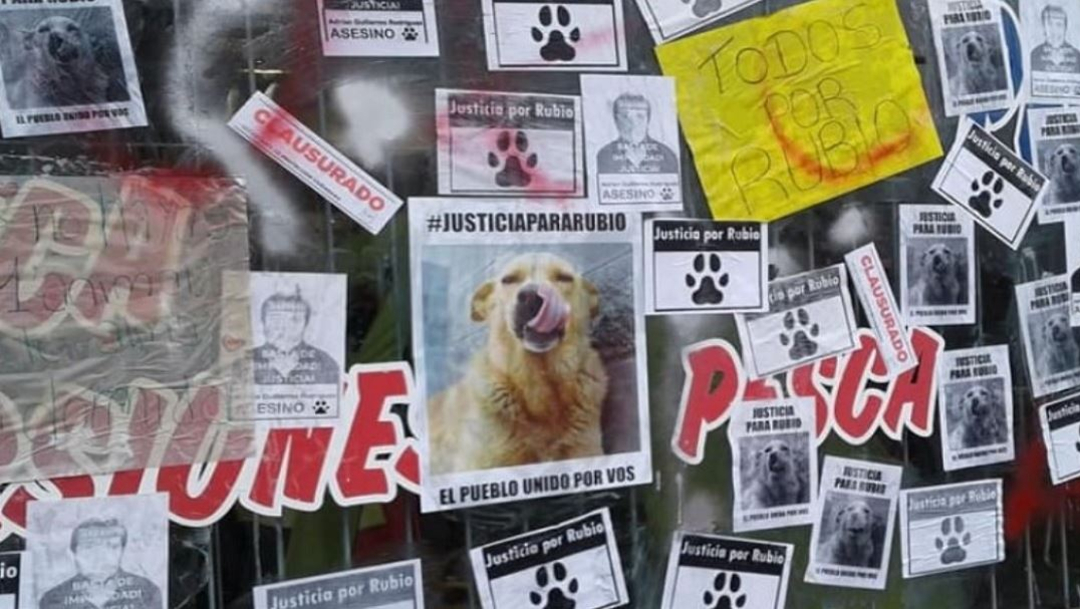 Argentina llora a ‘Rubio’, el perrito atado y arrastrado hasta la muerte