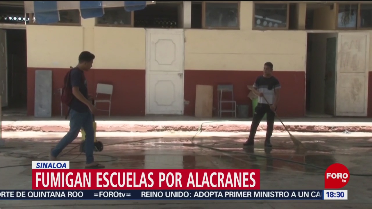FOTO: Fumigan Escuelas Por Alacranes Sinaloa