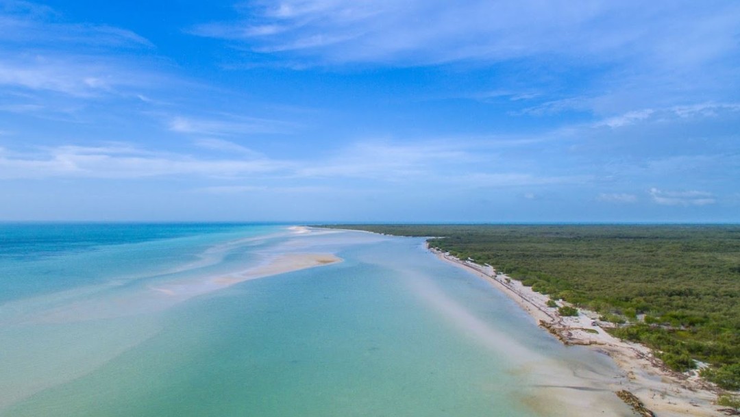 Retiran toneladas de sargazo de playas de Yucatán