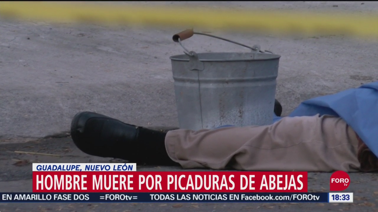 FOTO: Hombre Muere Tras Ataque Abejas Nuevo León
