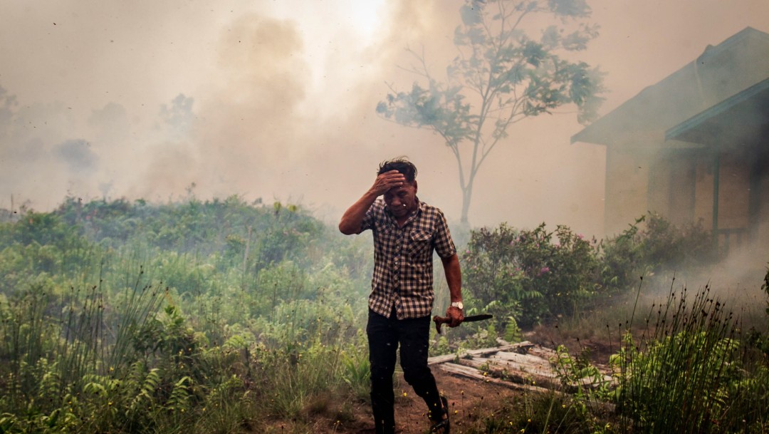 Foto: Incendios forestales en Indonesia, 22 de febrero de 2019