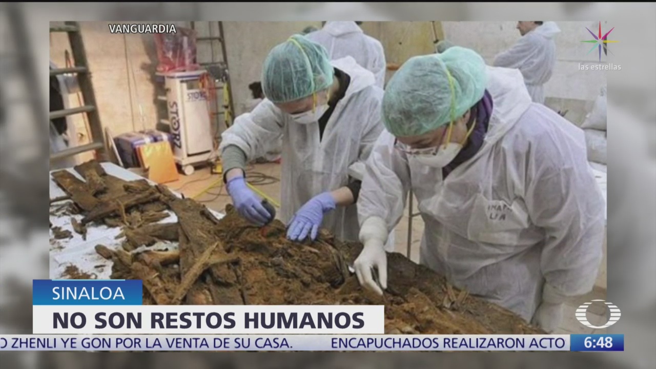 Restos óseos encontrados en Sinaloa no corresponden a humanos