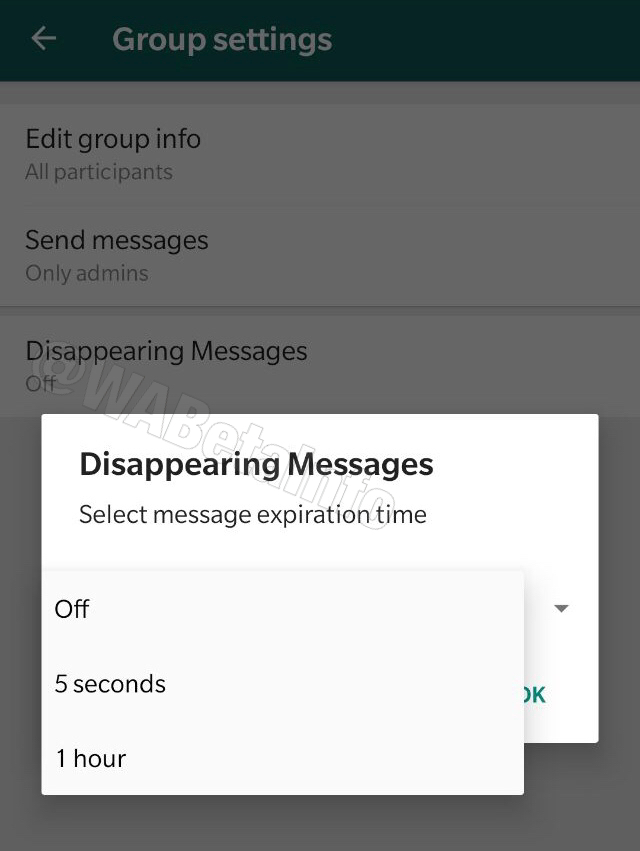 Foto:tiempo disponible mensajes que desaparecen nueva funcion whatsapp. 2 Octubre 2019