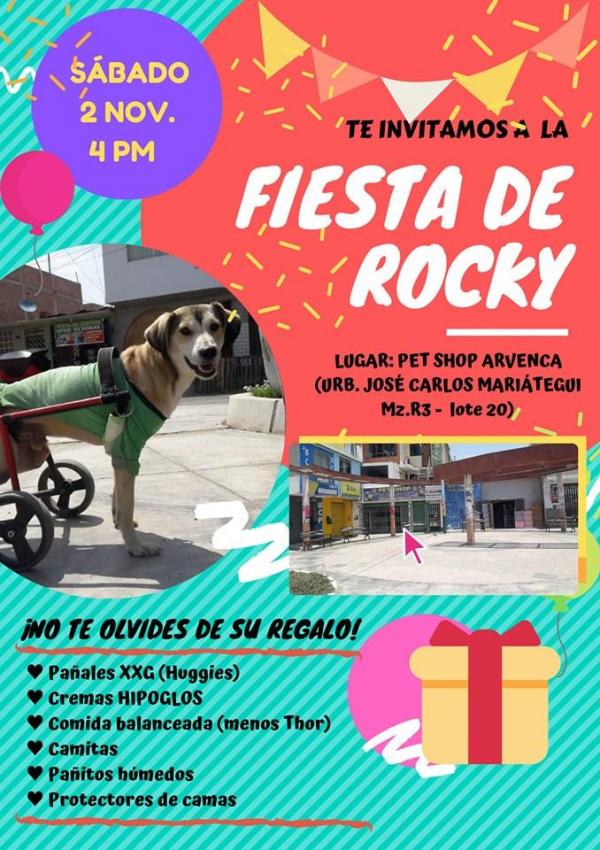 Foto: Colecta para Rocky organizada en redes sociales. 31 Octubre 2019