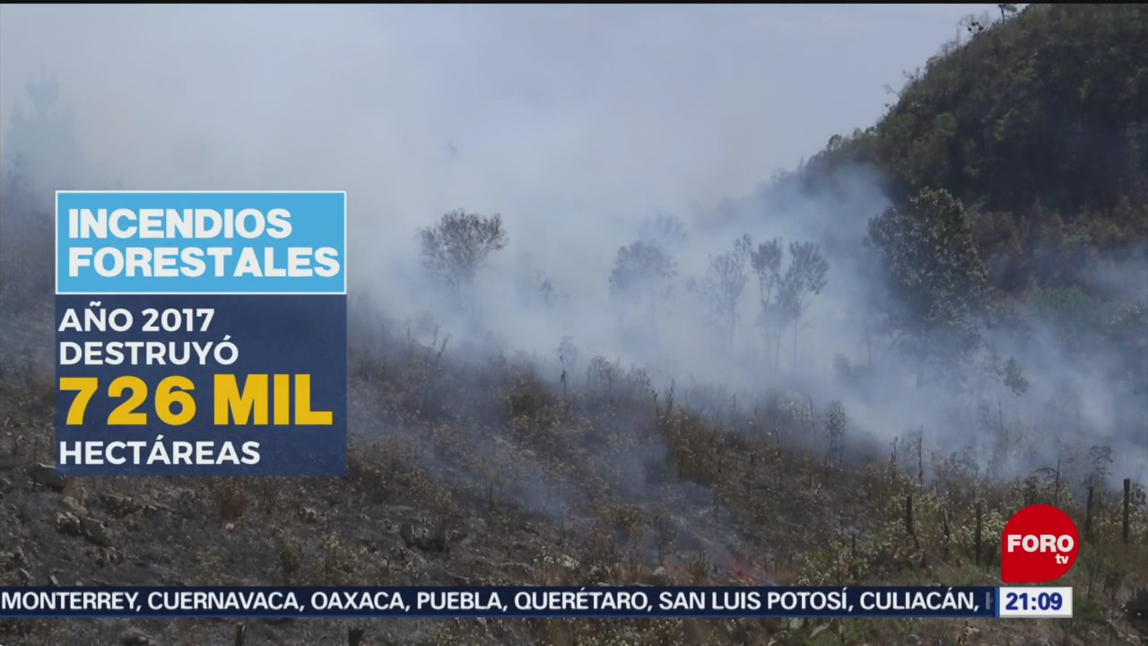 Foto: Incendios Forestales México Afectaciones 28 Octubre 2019