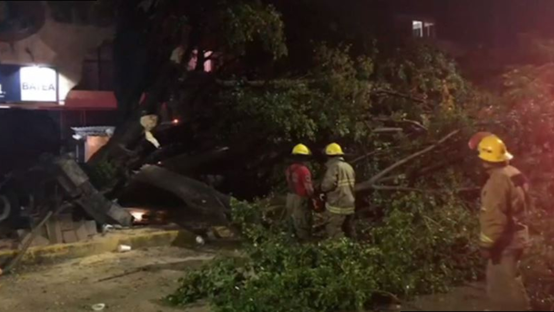 Foto: En la carretera Oxolotan-Cuitláhuac el deslizamiento de rocas de un cerro y un árbol caído obstruyo el paso de vehículos, 26 de octubre de 2019 (Noticieros Televisa)