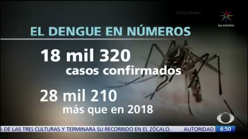 Aumentan los casos de dengue en México