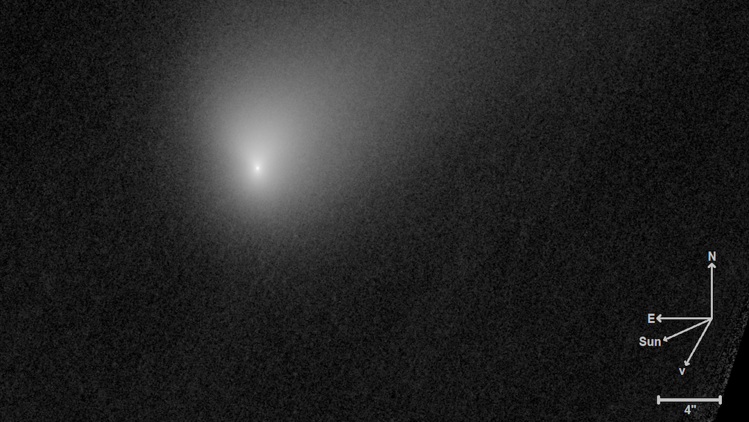 El cometa Borisov, el nuevo viajero que nos visita de más allá del Sistema Solar