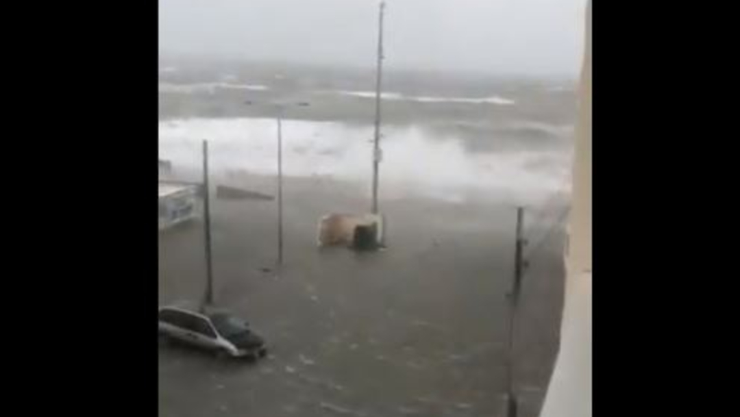 Foto: El mar ya empezó a adentrarse a la ciudad de Boca del Río, Veracruz, 31 de octubre de 2019 (Captura de Video)
