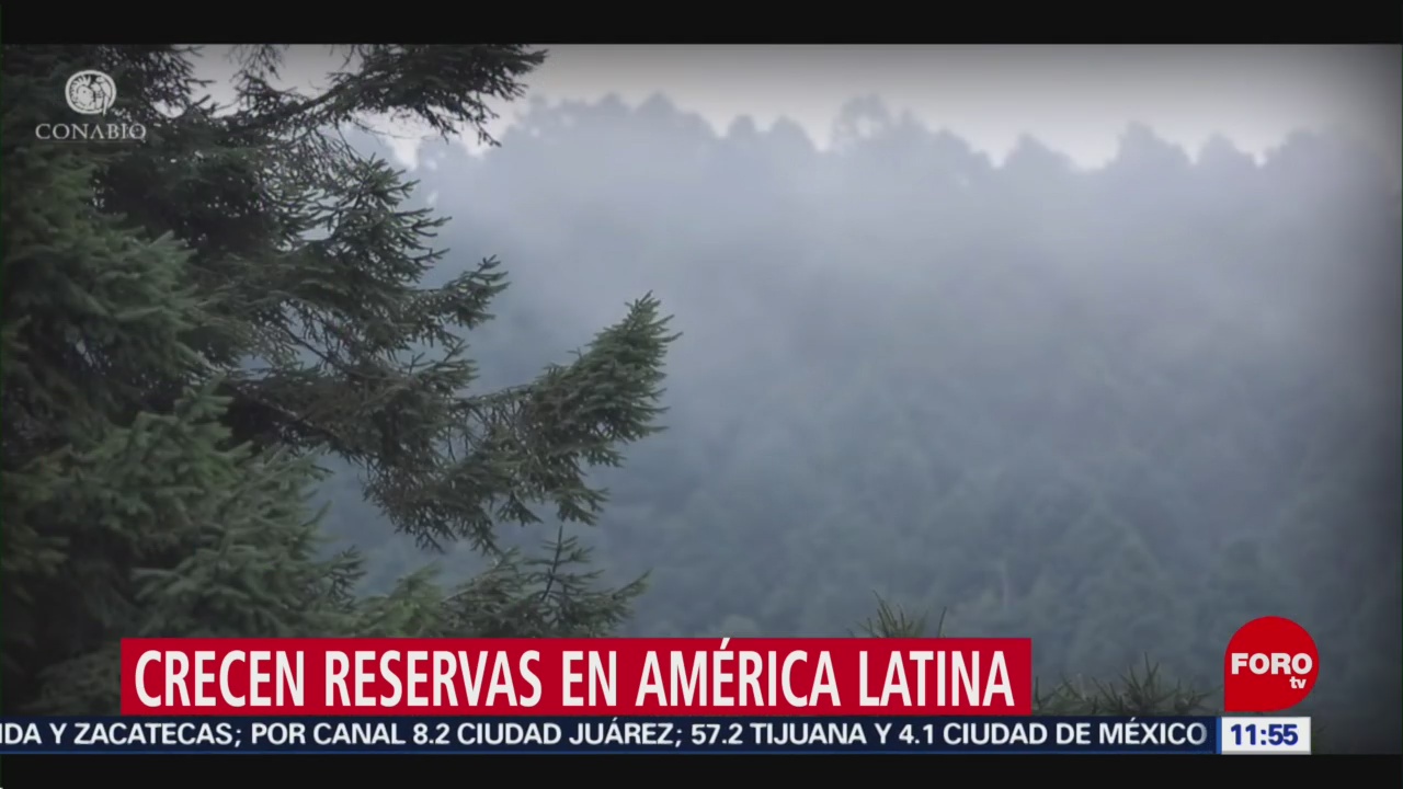 Foto: Reservas Naturales Crecen América Latina 26 Octubre 2019