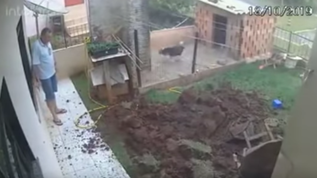 Video: Explota su patio para deshacerse de plaga de cucarachas