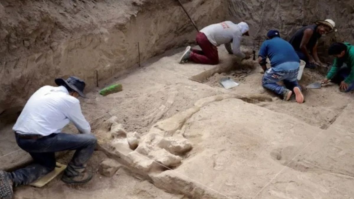 Hallan en Puebla restos fósiles de un mamut