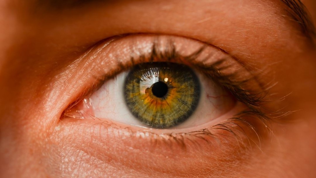 Foto: El glaucoma es una enfermedad muy prevalente, ya que entre el 2,5 y el 3 % de la población general puede estar afectado por ello, el 23 de octubre de 2019 (Pixabay)