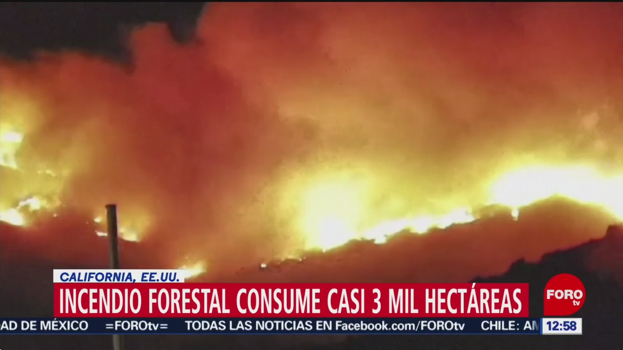 Incendio forestal consume miles de hectáreas en Sonoma, California