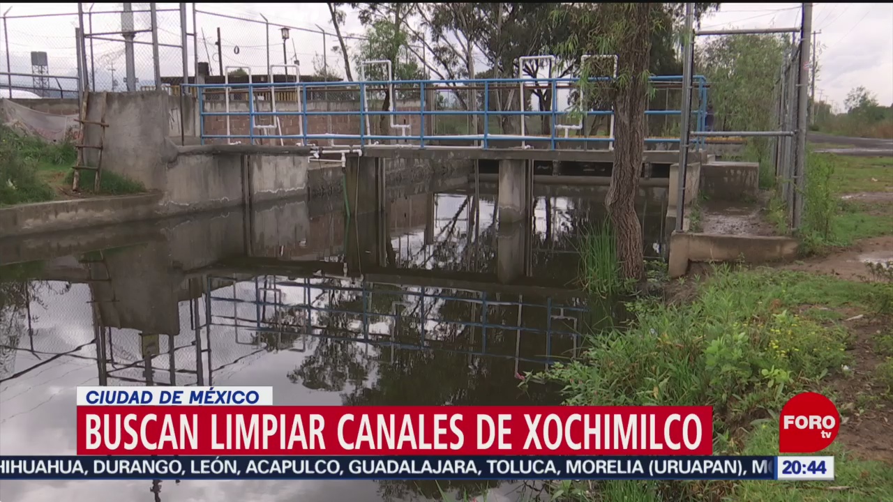 Foto: Investigadores Cinvestav Limpiar Canales Xochimilco 22 Octubre 2019