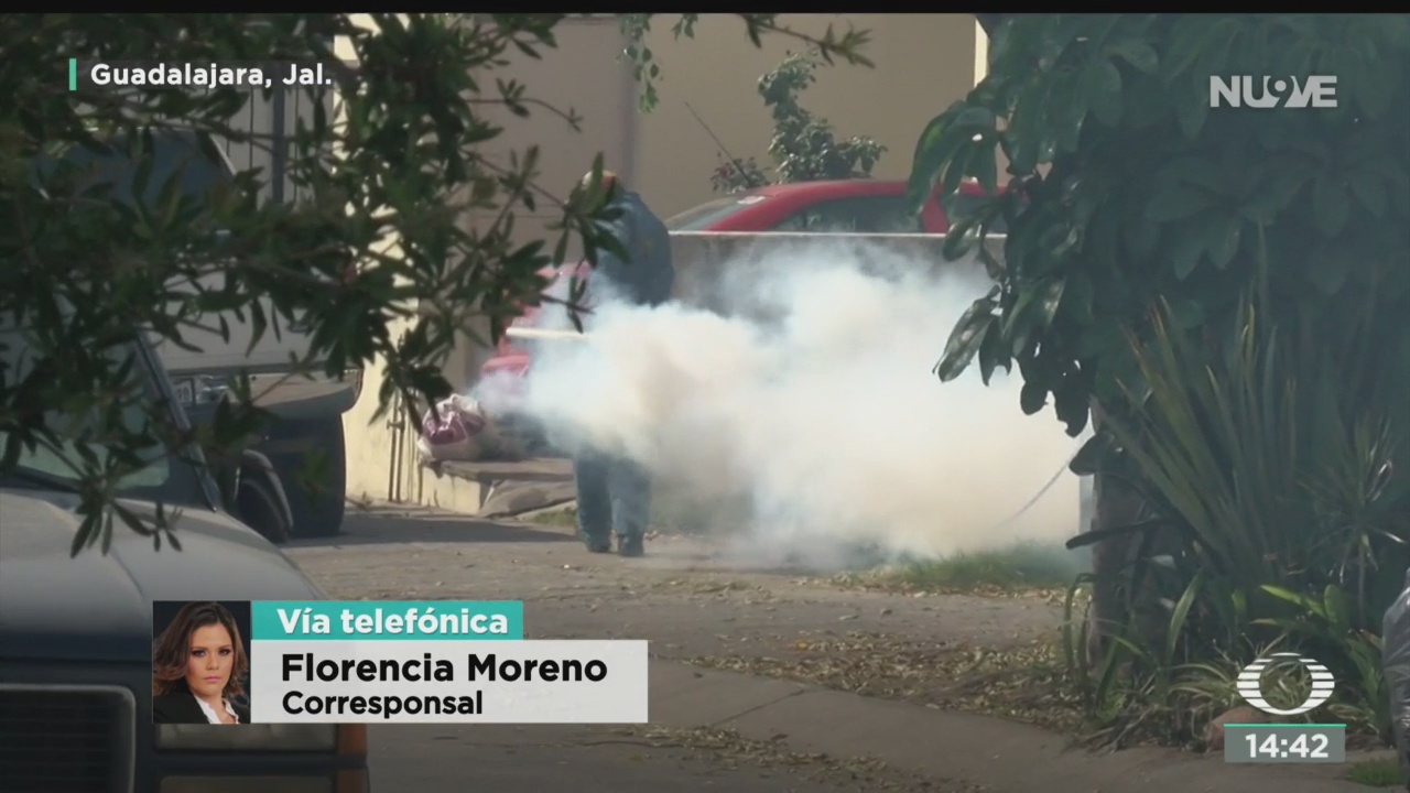FOTO: Jalisco segundo estado con más casos dengue
