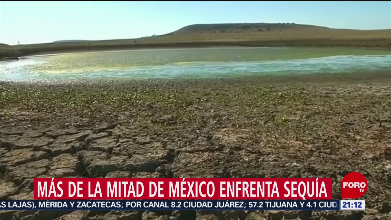 Foto: Mitad Territorio Mexicano Padece Sequía 10 Octubre 2019