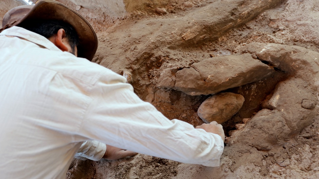 Un hombre y su hijo encuentran restos de mastodonte de más de 10 mil años en Puebla