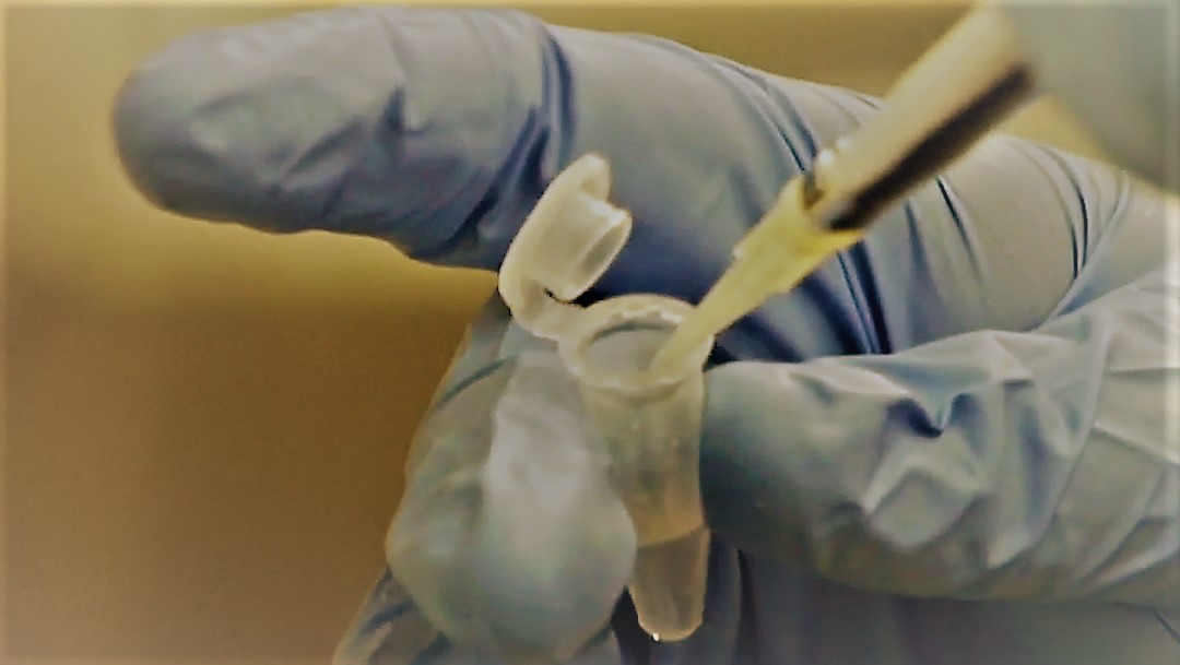 FOTO: Se descubrió una forma de cortar fragmentos de nuestro ADN de forma más precisa y segura.