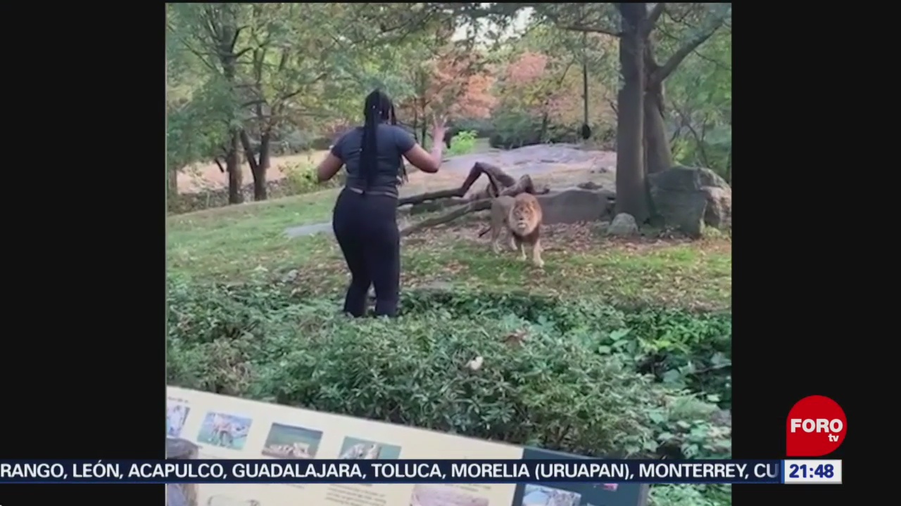 Foto: Mujer Salta Foso Baila Leones Zoológico NY 2 Octubre 2019