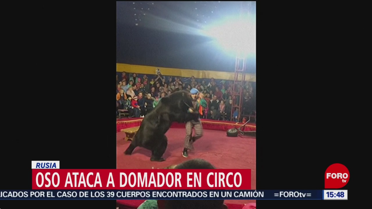 Oso ataca a domador en circo